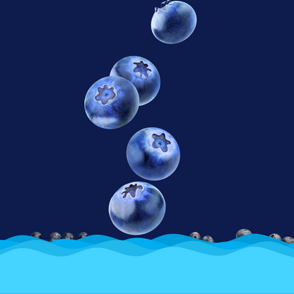 Scent Pod Blueberry