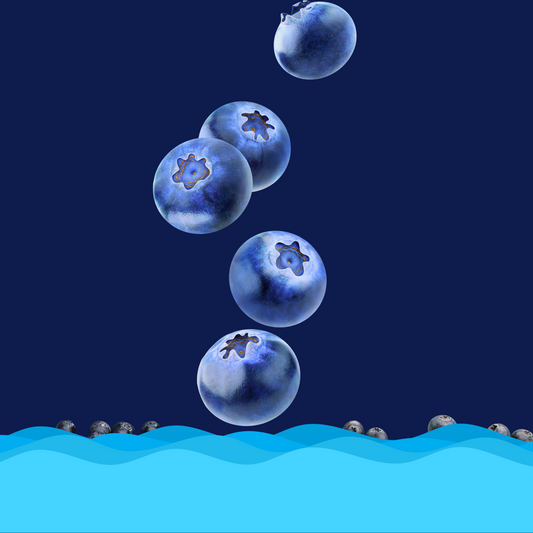 Scent Pod Blueberry